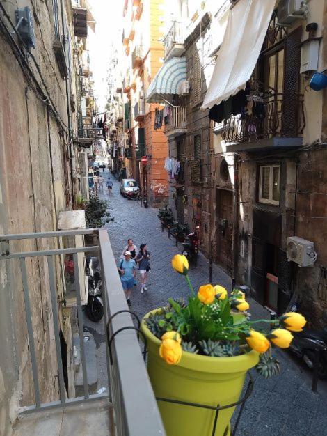 La Conchiglia Napoli Apartment Exterior photo